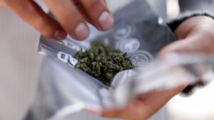 Ontario cannabis lounges may be coming soon -- though the Ford government hasn't provided any assurances or timelines.